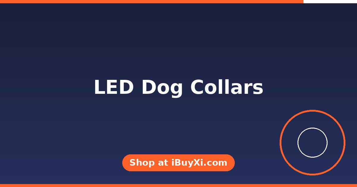 LED Dog Collars: Safer Night Walks for Your Pup | iBuyXi
