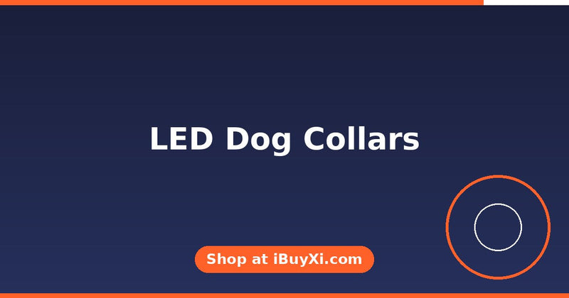 LED Dog Collars: Safer Night Walks for Your Pup | iBuyXi