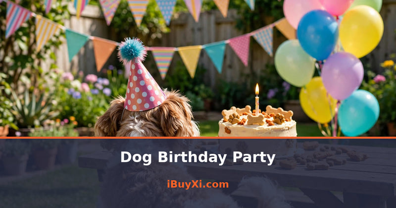 Dog Birthday Party: Treats, Toys & Paw-some Fun | iBuyXi