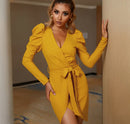 Long Puff Sleeve V-Neck Sashes Evening Mini Dress, ibuyxi.com