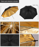 Studio Setup of Lightning Kit And Background Frames, iBuyXi.com