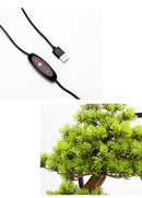 Zen Style Cliff Welcome Pine Bonsai Home Decor, ibuyxi.com