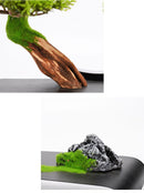 Zen Style Cliff Welcome Pine Bonsai Home Decor, ibuyxi.com