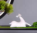 Zen Style Cliff Welcome Pine Bonsai Home Decor, ibuyxi.com