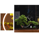 Zen Style Cliff Welcome Pine Bonsai Home Decor, ibuyxi.com