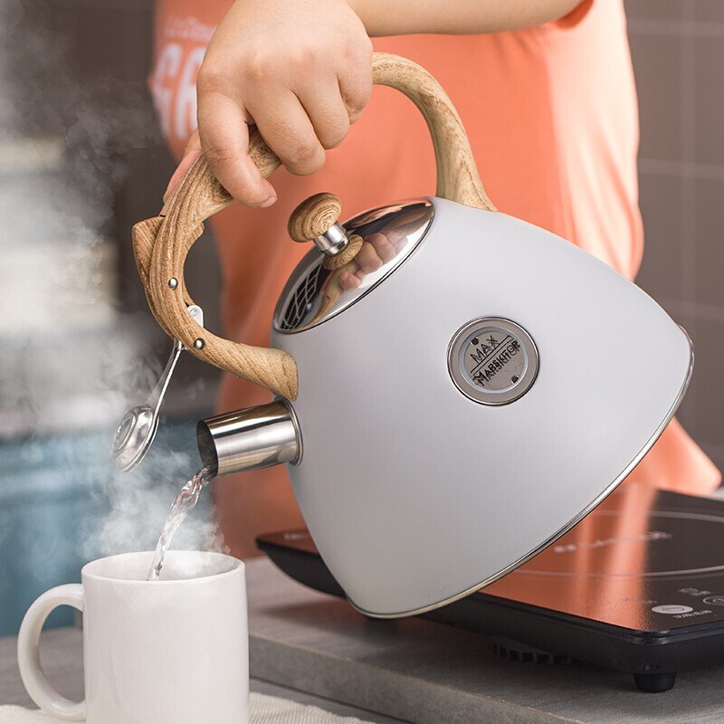 2.5L Whistling Stainless Steel Tea Kettle, iBuyXi.com