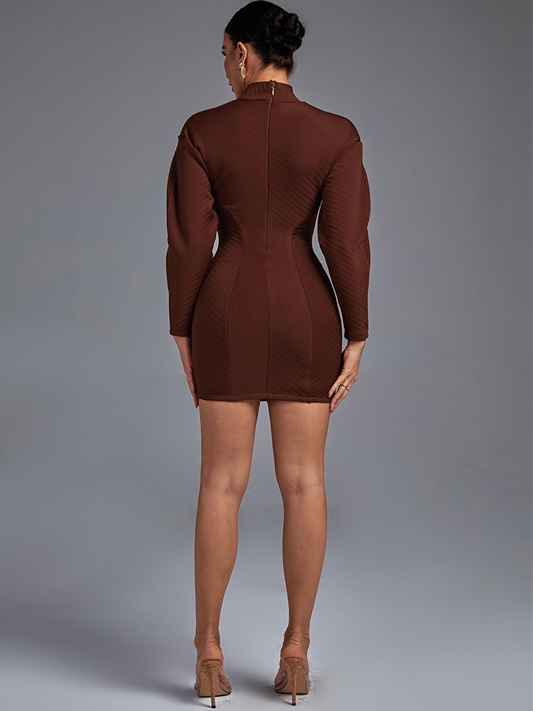 High Neck Long Sleeve Bodycon Mini Dress, ibuyxi.com