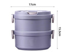 2/3 Layer Morandi Thermal Food Storage Lunch Box iBuyXi.com