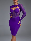 Purple Mesh Long Sleeve Bandage Dress, ibuyxi.com