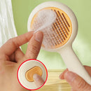 Click Clean Cat Brush