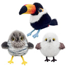 Chirping and Flapping Bird Interactive Cat Toys