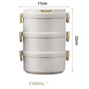2/3 Layer Morandi Thermal Food Storage Lunch Box iBuyXi.com