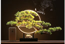 Zen Root Art Pine Bonsai Plant Home Decor, iBuyXi.com