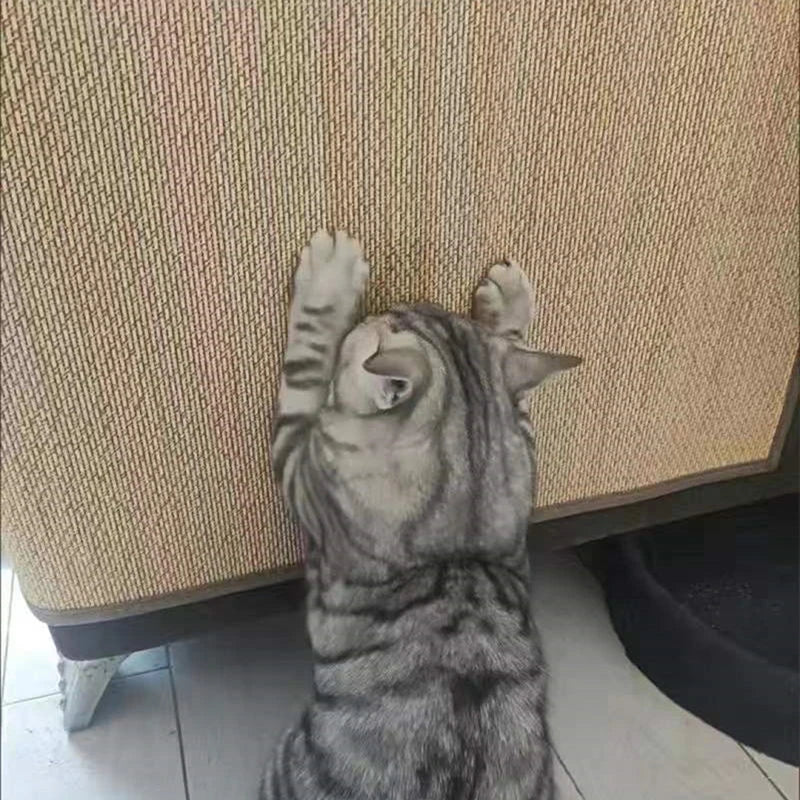 Cat Scratch Guards Furniture Protector