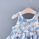 Sweet Daisies Baby Girls Summer Dress Set, iBuyXi.com