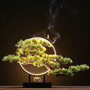 Zen Root Art Pine Bonsai Plant Home Decor, iBuyXi.com