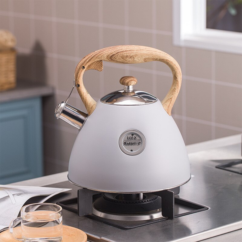 2.5L Whistling Stainless Steel Tea Kettle, iBuyXi.com