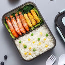 Pack Your Meals With the Stylish And Convenient Lunch Container Box, ibuyxi.com