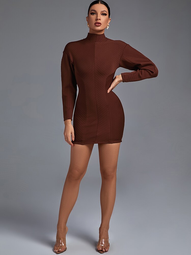 High Neck Long Sleeve Bodycon Mini Dress, ibuyxi.com