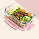 Sleek Glass Lunch Box for Food Storage, ibuyxi.com