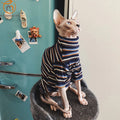 Cozy Striped Knitted Pet Shirt