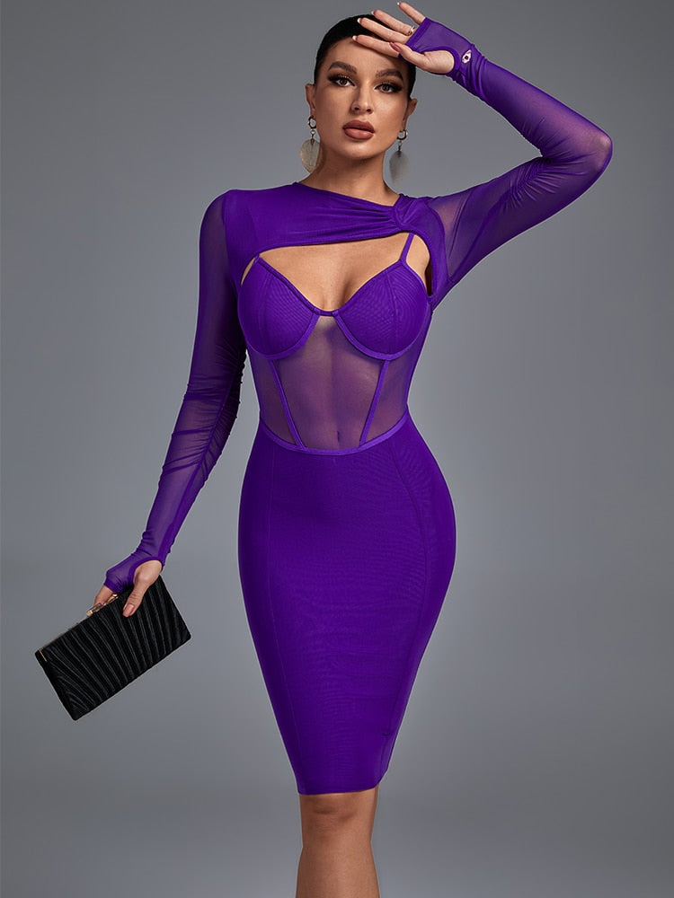 Mesh Long Sleeve Bandage Dress