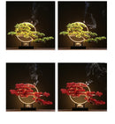 Zen Root Art Pine Bonsai Plant Home Decor, iBuyXi.com