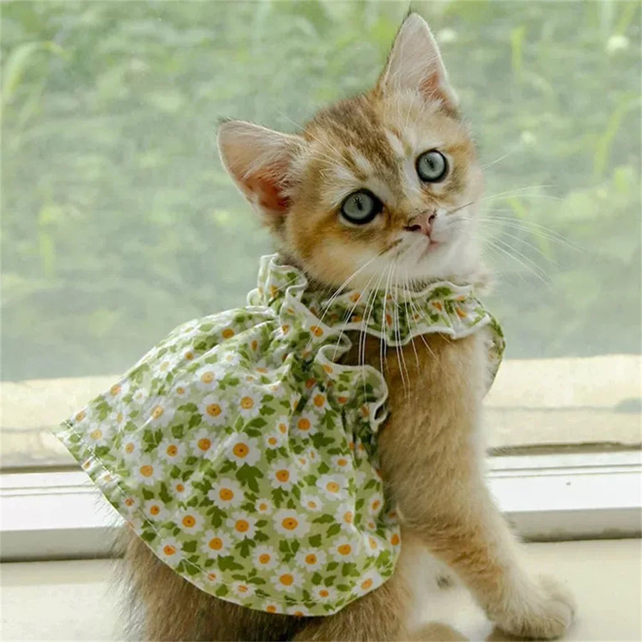 Summer Flower Print Pet Dresses