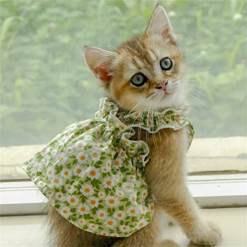 Summer Flower Print Pet Dresses