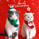 Pet Christmas Accessories