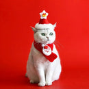 Pet Christmas Accessories