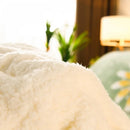 Winter Wildflower Plush Fleece Blanket, iBuyXi.com