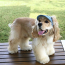 Denim Sun Guard Dog Cap