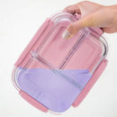 Sleek Glass Lunch Box for Food Storage, ibuyxi.com