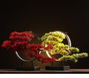 Zen Root Art Pine Bonsai Plant Home Decor, iBuyXi.com