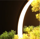 Zen Root Art Pine Bonsai Plant Home Decor, iBuyXi.com
