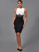 High Quality Black and White Bodycon Dress, ibuyxi.com