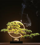 Zen Root Art Pine Bonsai Plant Home Decor, iBuyXi.com