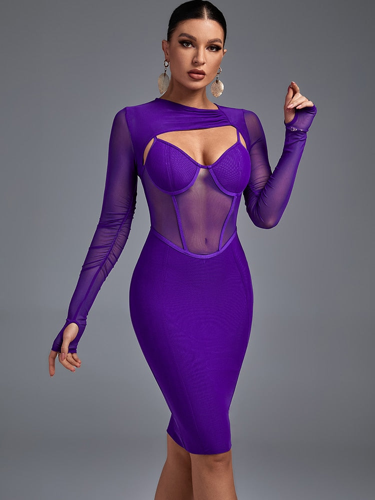 Purple Mesh Long Sleeve Bandage Dress, ibuyxi.com