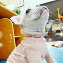 Rhinestone Collar for Cats and Small Dogs