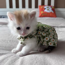 Summer Flower Print Pet Dresses
