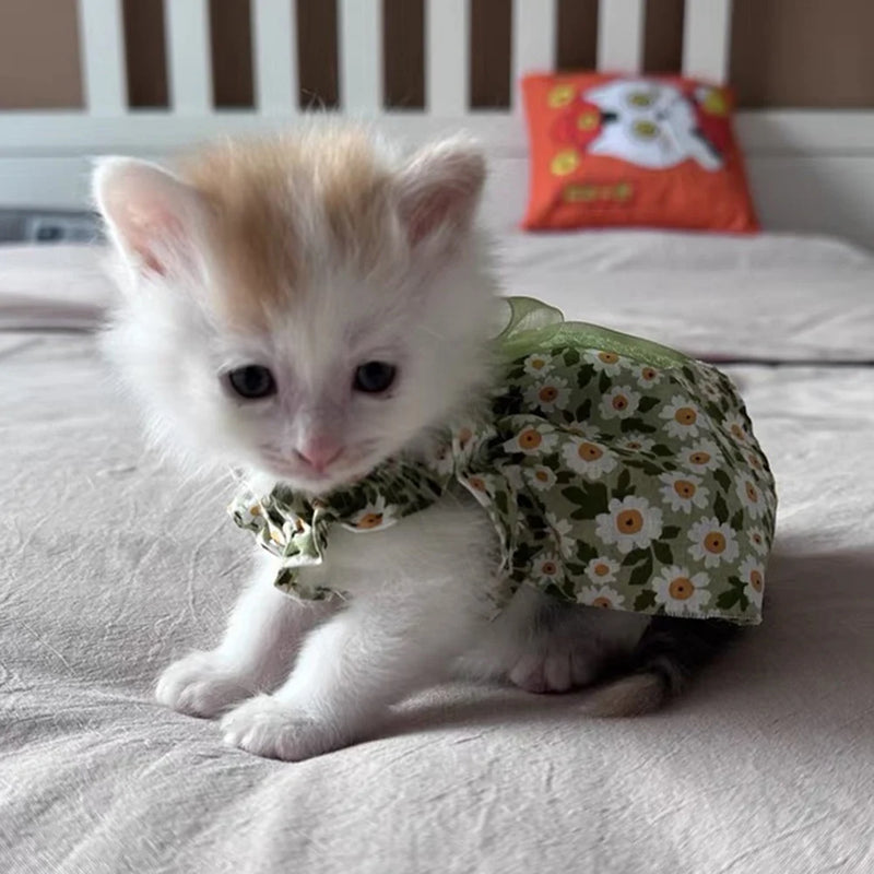 Summer Flower Print Pet Dresses