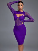 Purple Mesh Long Sleeve Bandage Dress, ibuyxi.com