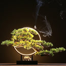 Zen Root Art Pine Bonsai Plant Home Decor, iBuyXi.com