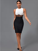 High Quality Black and White Bodycon Dress, ibuyxi.com