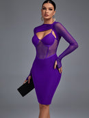 Purple Mesh Long Sleeve Bandage Dress, ibuyxi.com