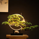 Zen Root Art Pine Bonsai Plant Home Decor, iBuyXi.com