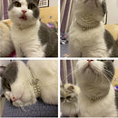 Rhinestone Collar for Cats and Small Dogs