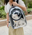 Space Capsule Pet Carrier Transparent Backpack