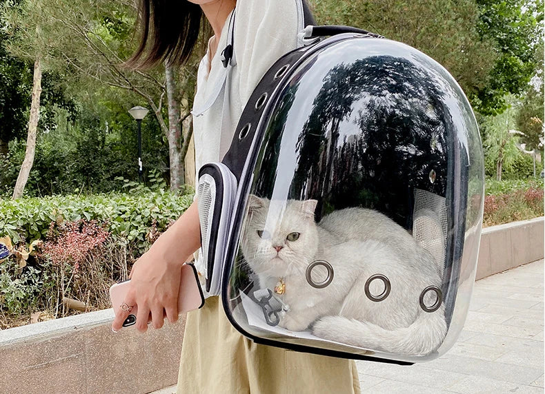 Space Capsule Pet Carrier Transparent Backpack